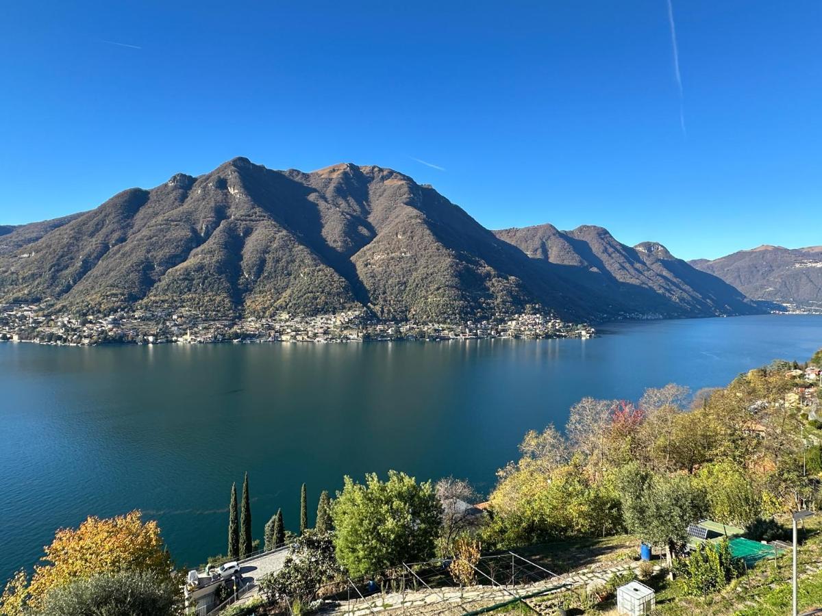 La Casa Del Mastro - Como Lake Pognana Lario Extérieur photo